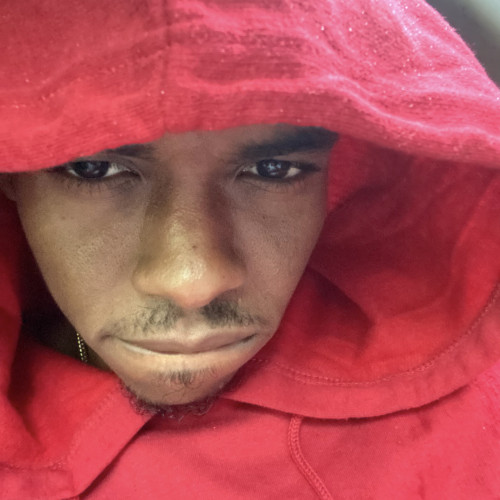 Dameko H. profile photo