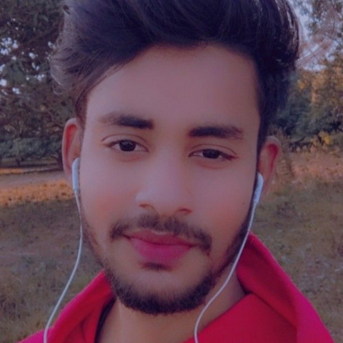 Raju S. profile photo