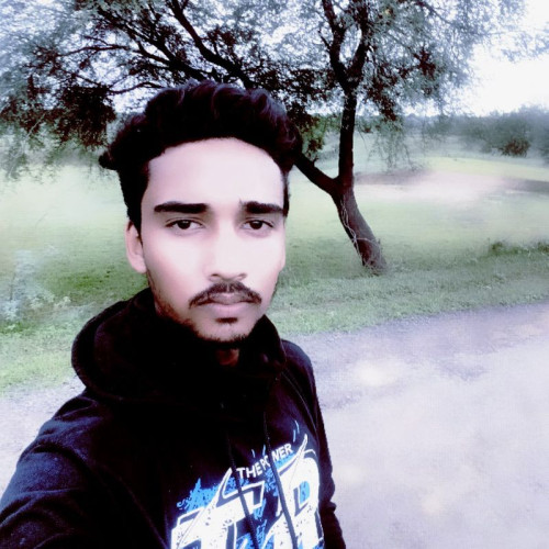 Shailendra  K. profile photo