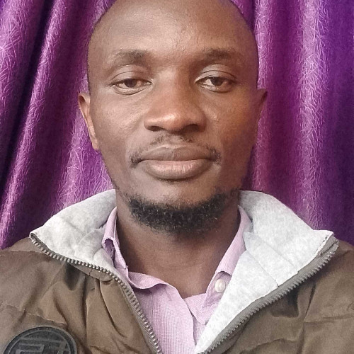 Elvis O. profile photo