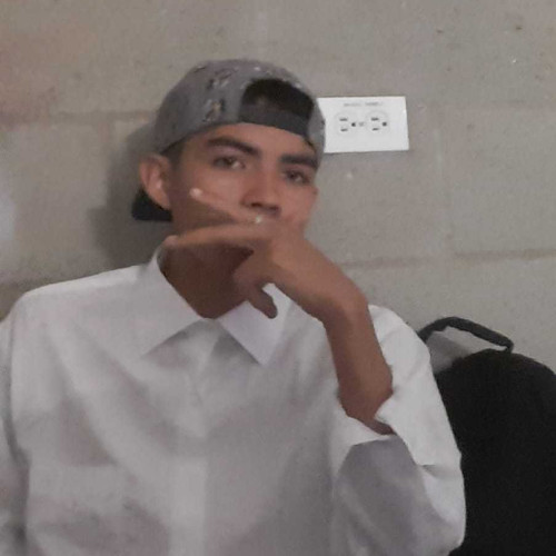 Diego M. profile photo