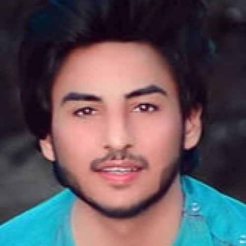 Raj T.