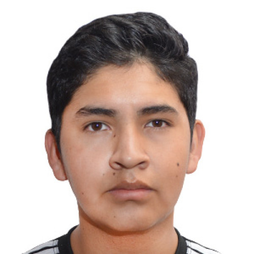 Luis Fernando C. profile photo