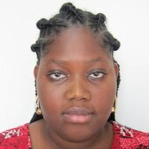 Damilola O.