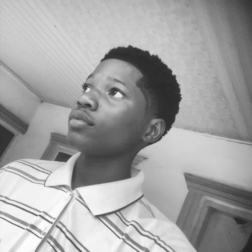 Collins m. profile photo