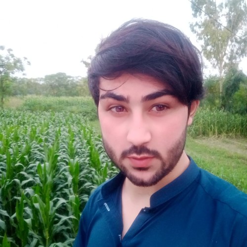 Salman J.