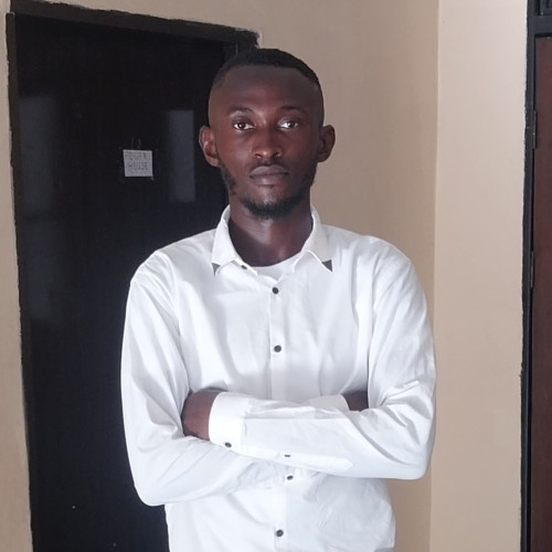 Abiodun A. profile photo