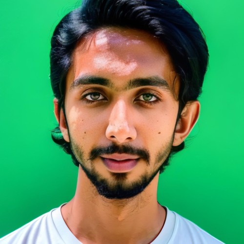 Muhammad Shayan R.