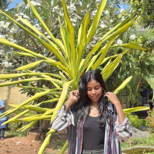 Neza T. profile photo