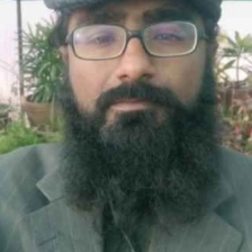 Shafa  S. profile photo