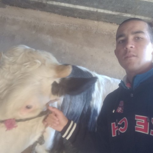 Abdelali  R. profile photo