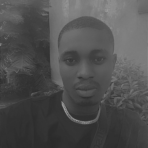 Active N. profile photo