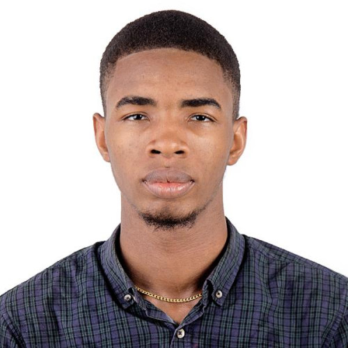 Raluchukwu  N. profile photo