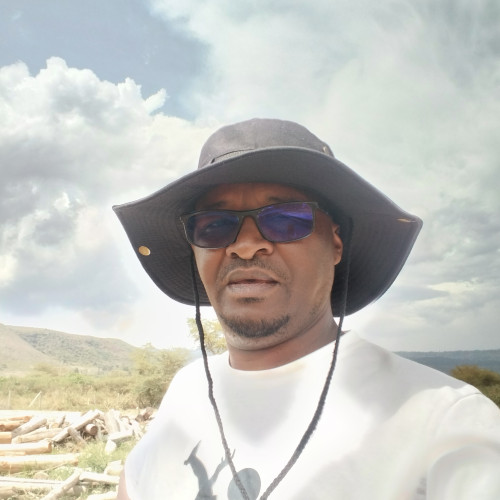 Martin N. profile photo