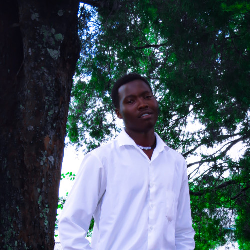 Brian B. profile photo