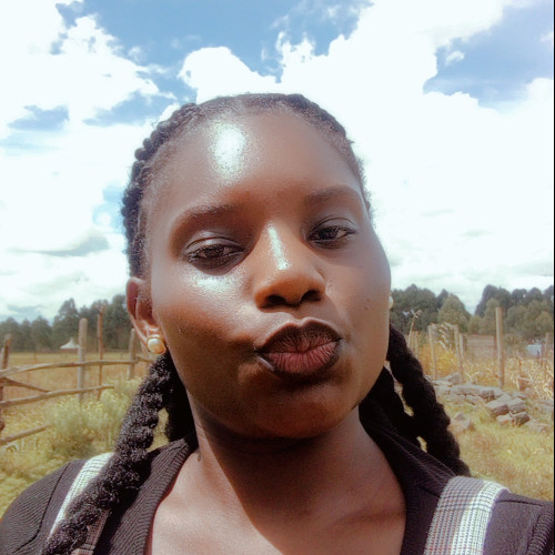gloria n. profile photo