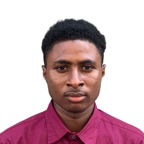 Harrison Femi A.