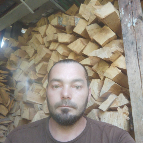 Florin P. profile photo