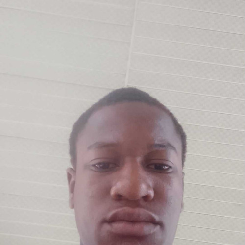 Success L. profile photo