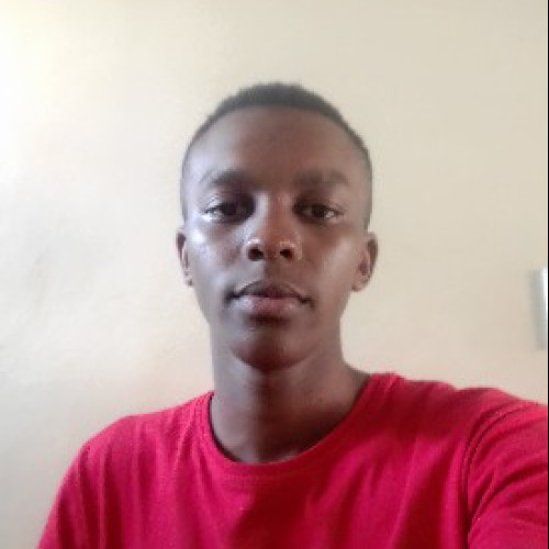 Luiz M. profile photo