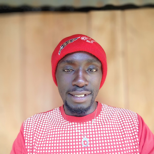 Daniel  N. profile photo