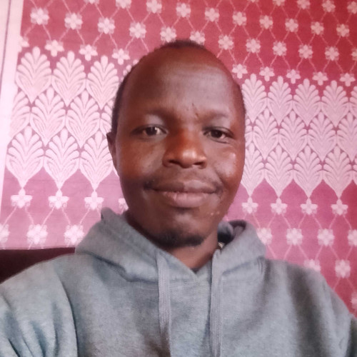 Elphis m. profile photo