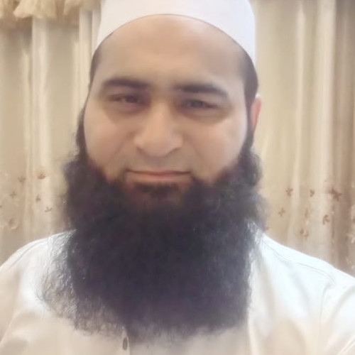MUHAMMAD  U. profile photo
