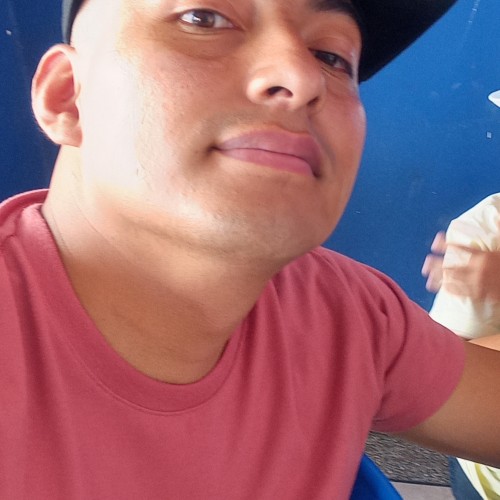 Lenin P.