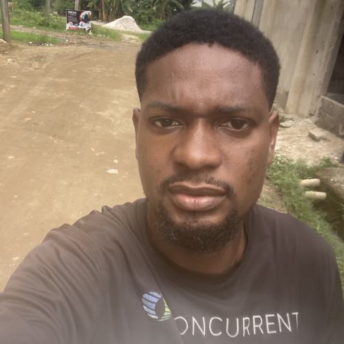 chibuzo s. profile photo