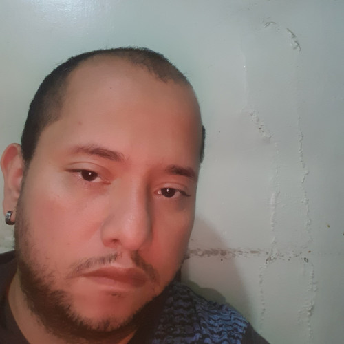 Luis P. profile photo