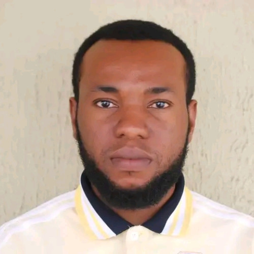 Alabi  O. profile photo