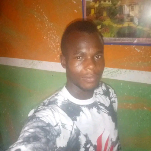 Adedokun O. profile photo
