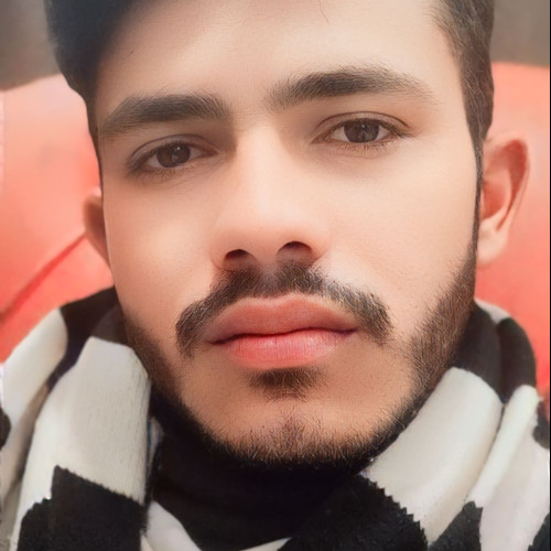 Muhammad  N. profile photo