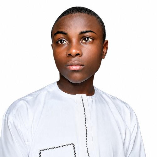 Salahudeen H. profile photo