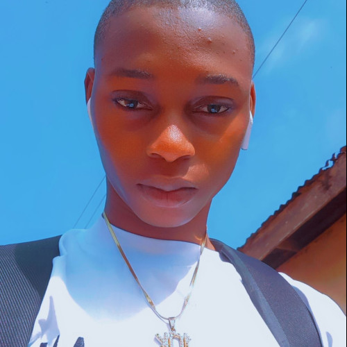 Bamidele S. profile photo