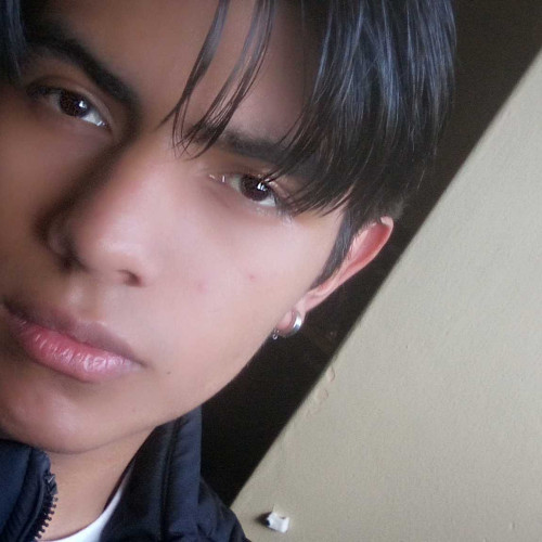 Daniel C. profile photo