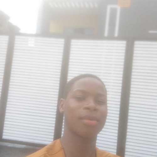 odulaja I. profile photo