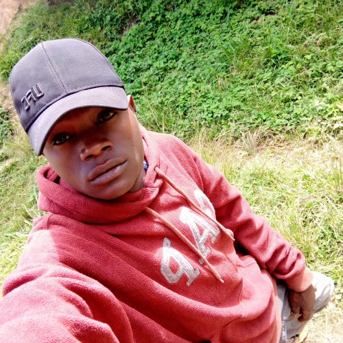 ramaly m. profile photo