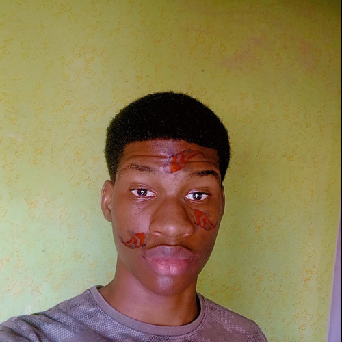 Oluwatofarati O. profile photo