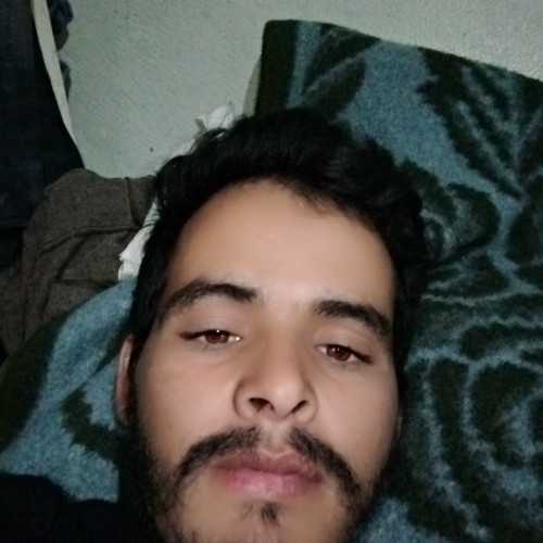 Lahcen E. profile photo