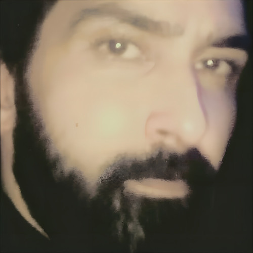 Amir Z. profile photo