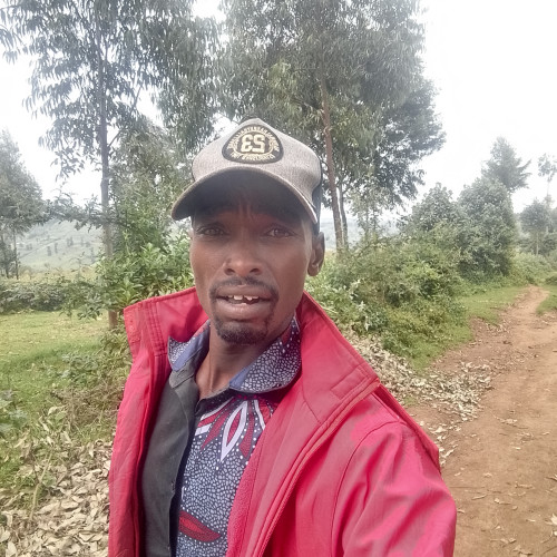 BENARD K. profile photo