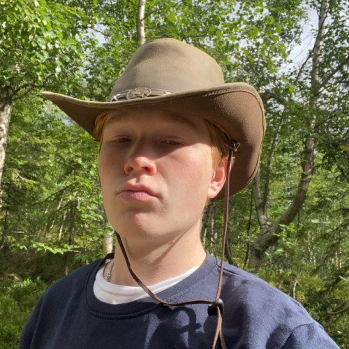 Dennis D. profile photo