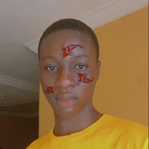 Damilare S. profile photo