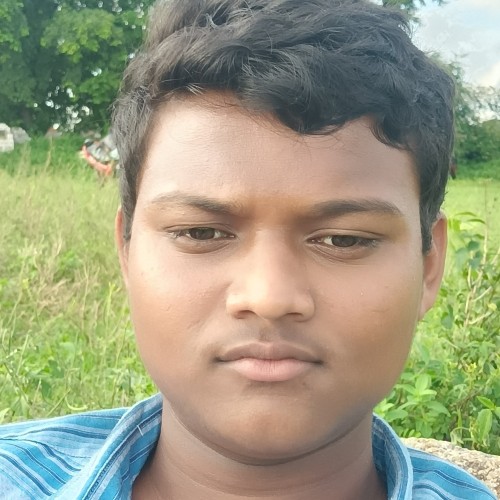 Pavan K.