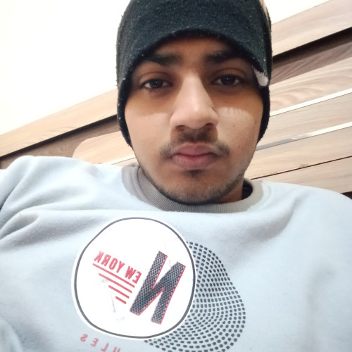 Dipanshu  S. profile photo