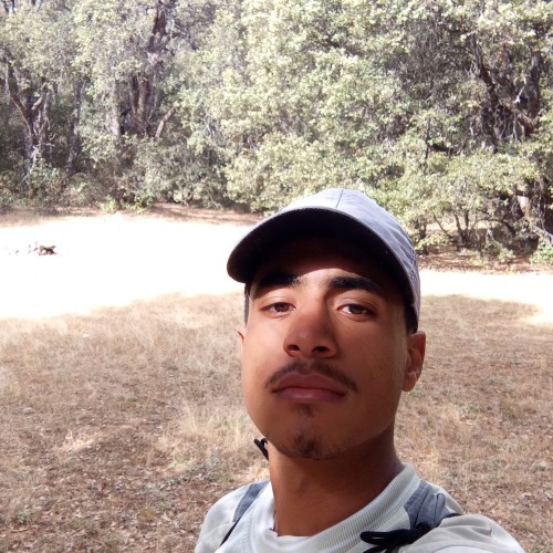 Mahdi E.
