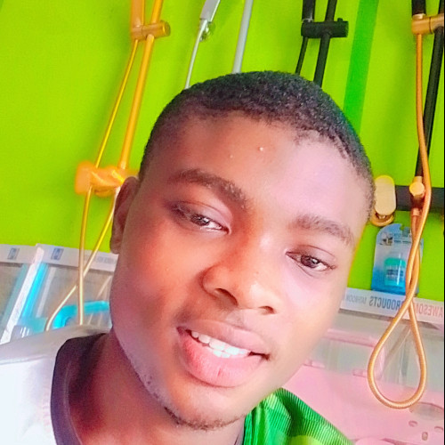 King F. profile photo