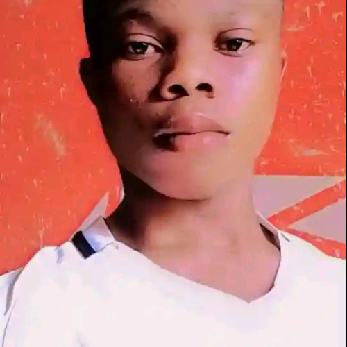 Chisom  M. profile photo