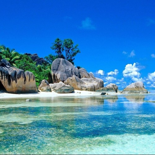 Antonio W. profile photo